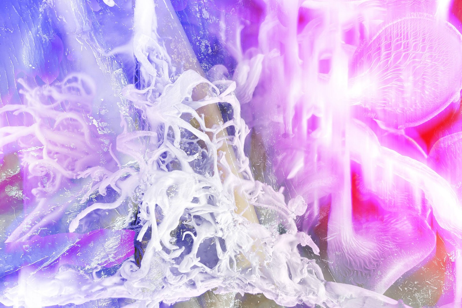 MOLD